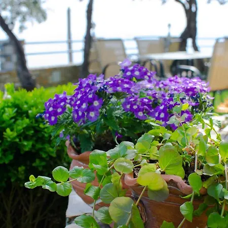 Enastron Apartamento