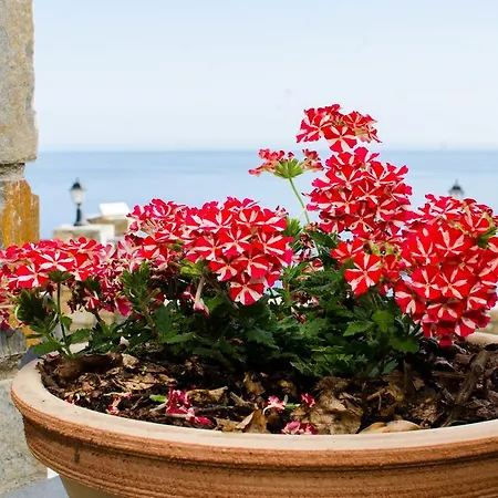 Apartamento Enastron Khorevtón