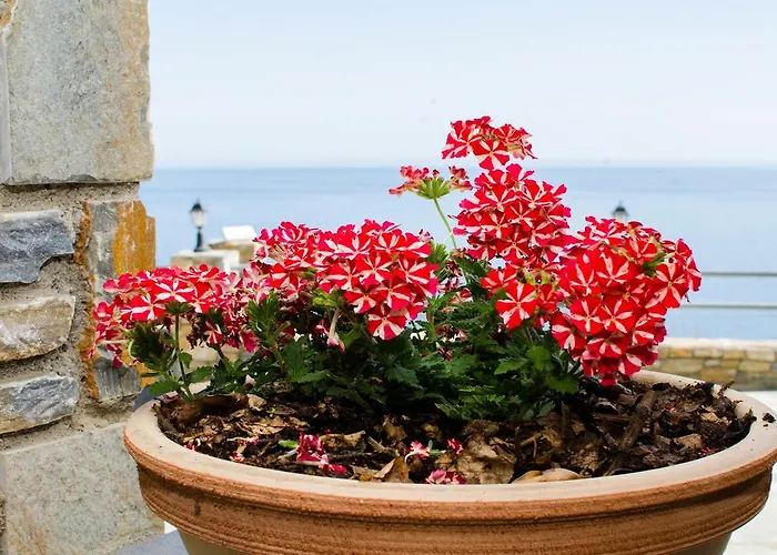 Apartment Guesthouse Enastron Chorefton